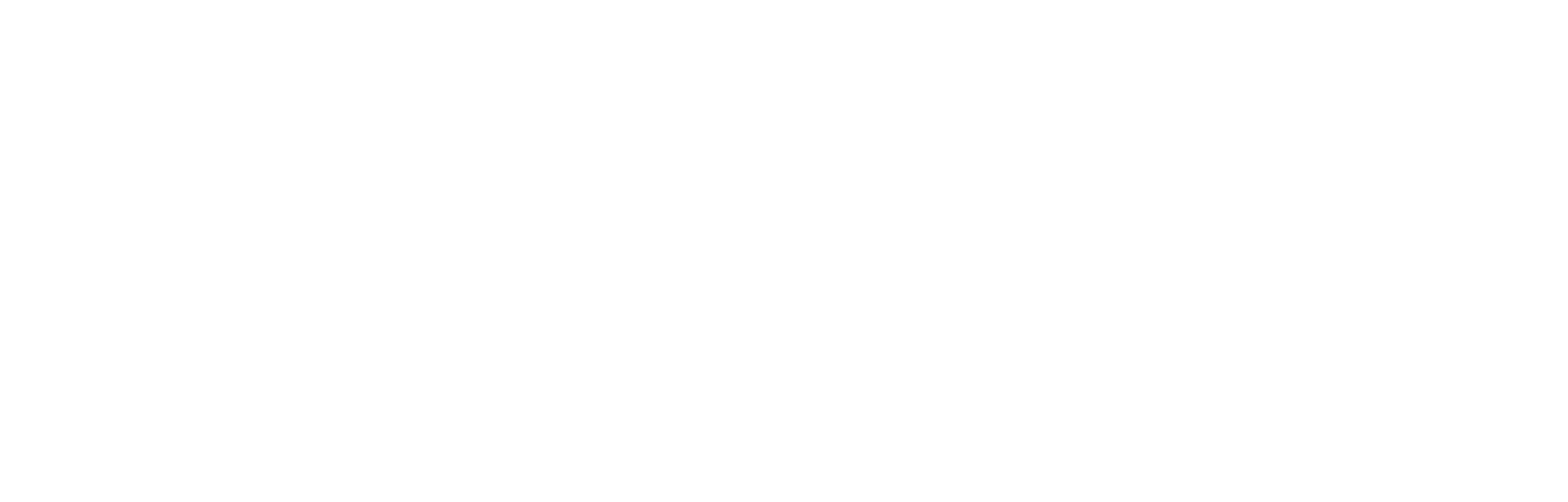 CHEER MEDICS FOUNDATION